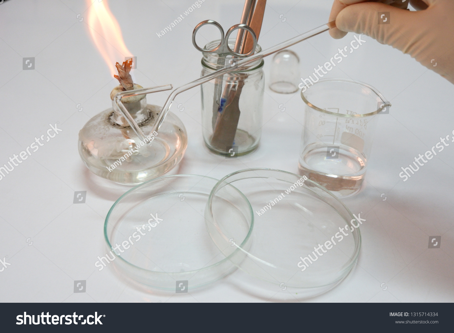 Aseptic Technique Equipment Microbiology Laboratory Spread Stock Photo 1315714334 Shutterstock