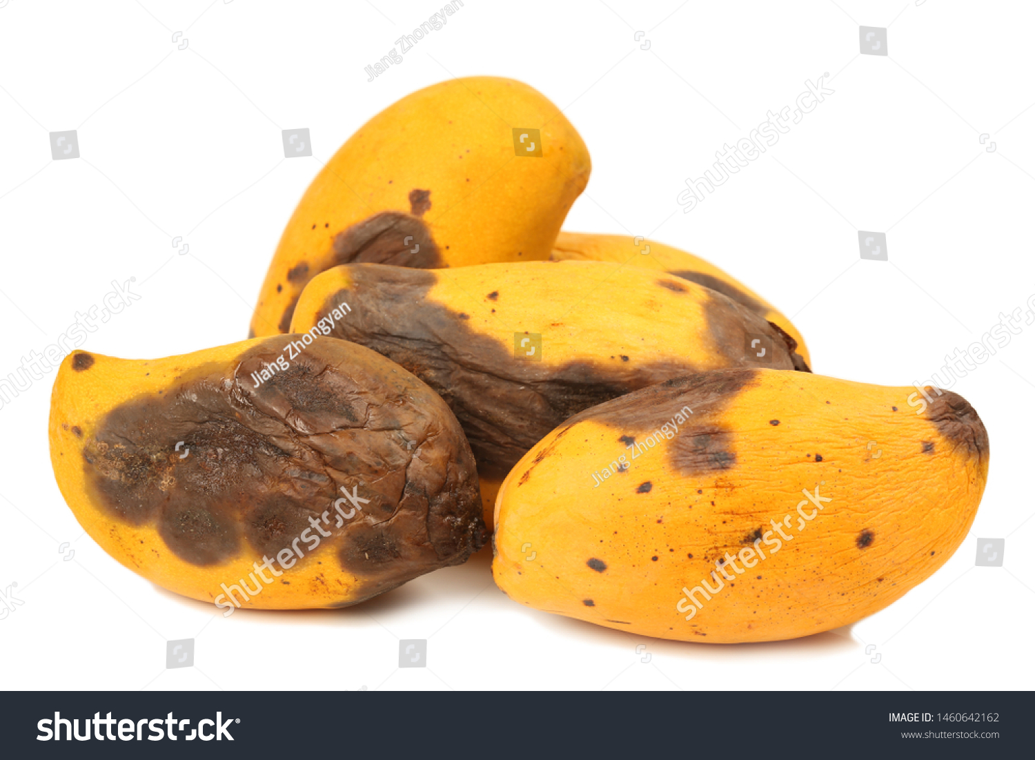 Rotten Mango