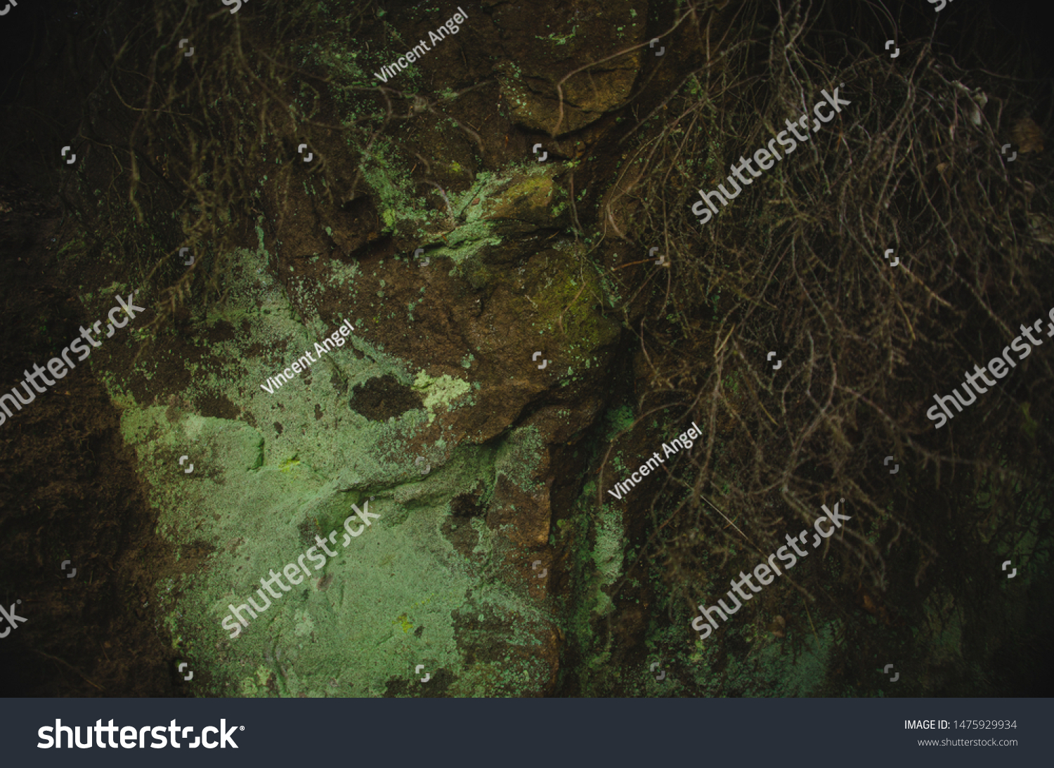 Simple Yet Complex Texture Photo Stock Photo 1475929934 | Shutterstock