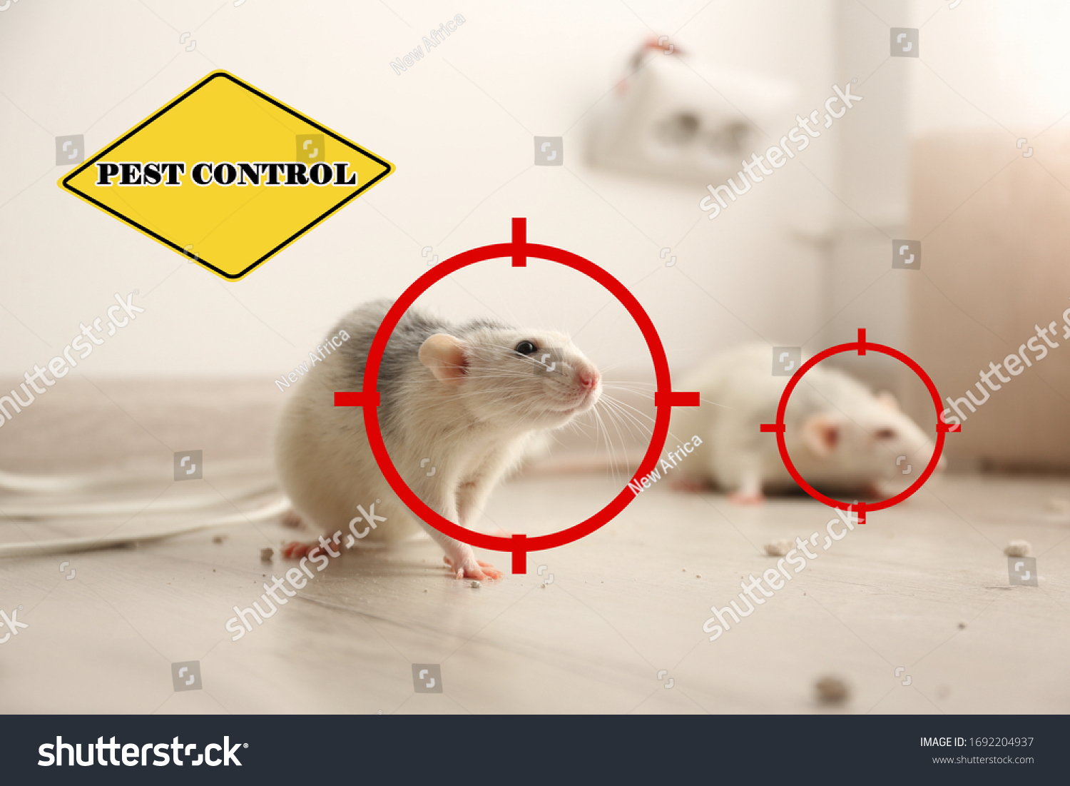 341 Gun Rat Images, Stock Photos & Vectors | Shutterstock