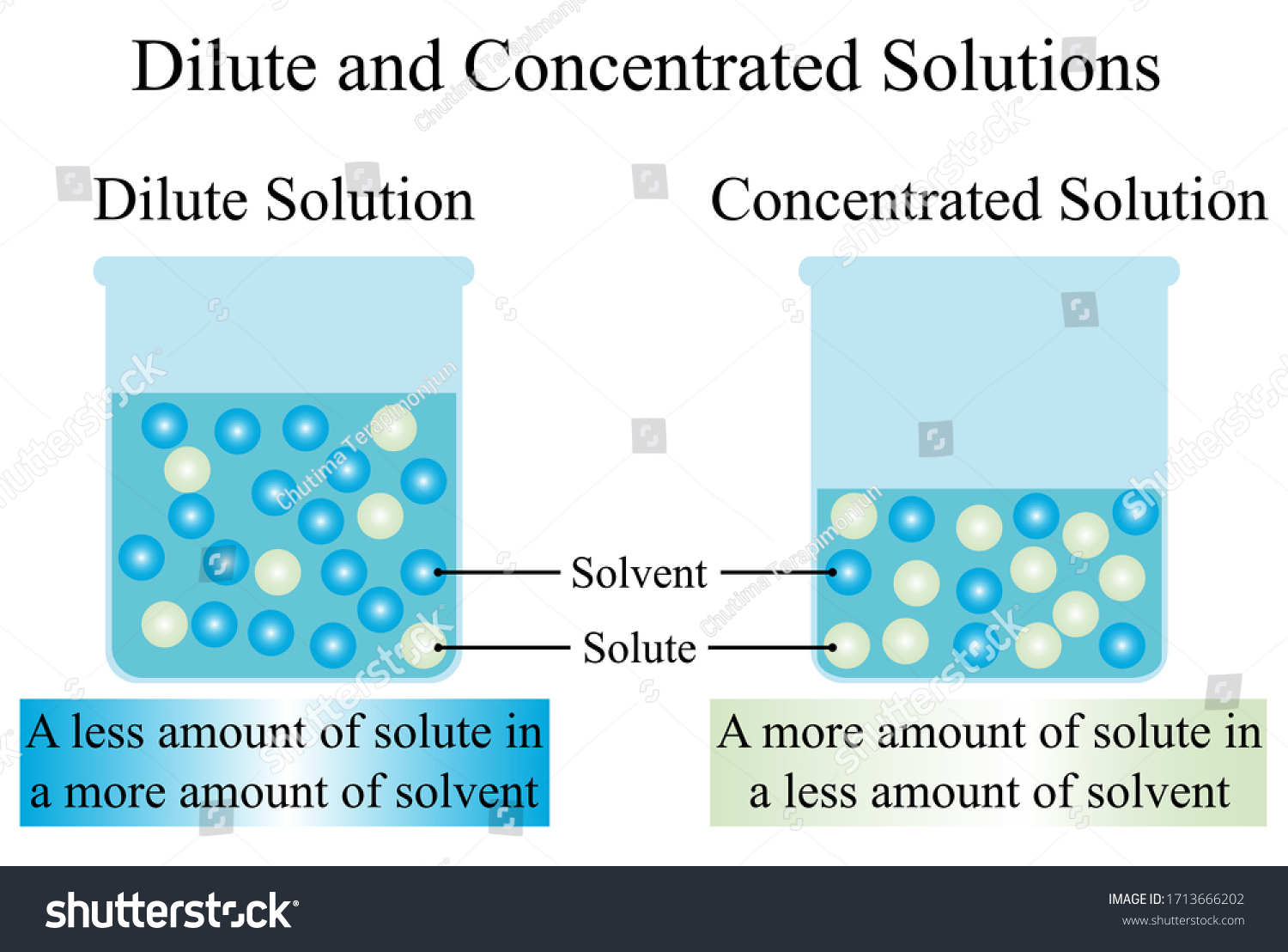 228 Dilute Solution Concentrated Solution Images, Stock Photos