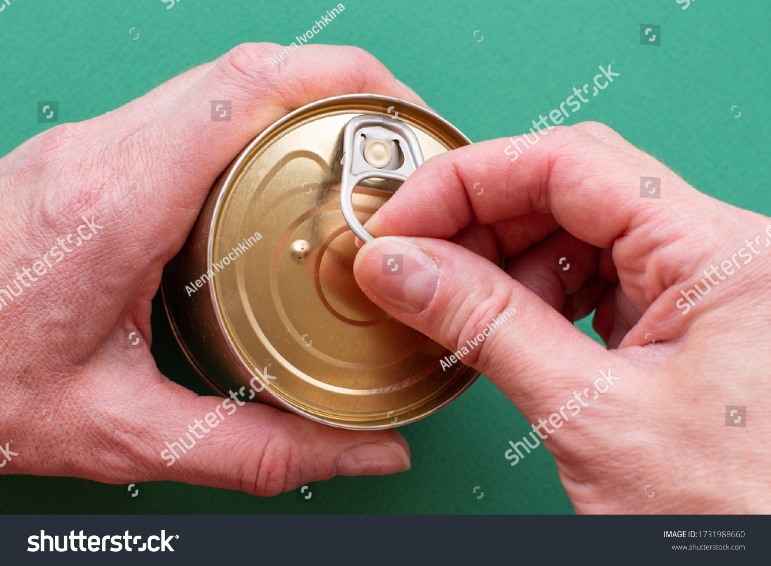 Hand Adult Holds Can Canned Food Stock Photo 1731988660 Shutterstock