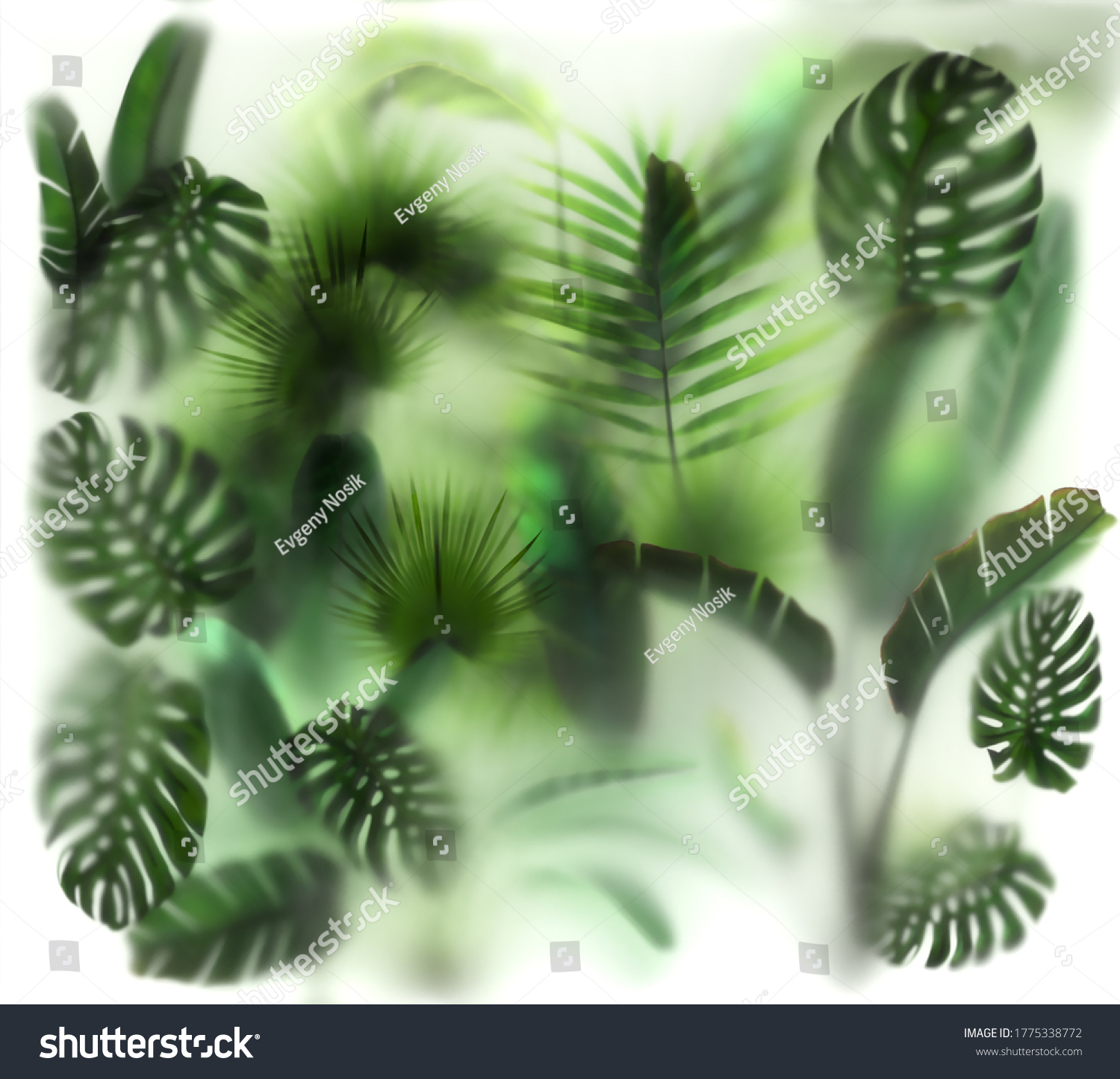 Behind plant. размытый фон листьев кустарников. Behind plant. стебли трав на фоне неба. Behind plant.