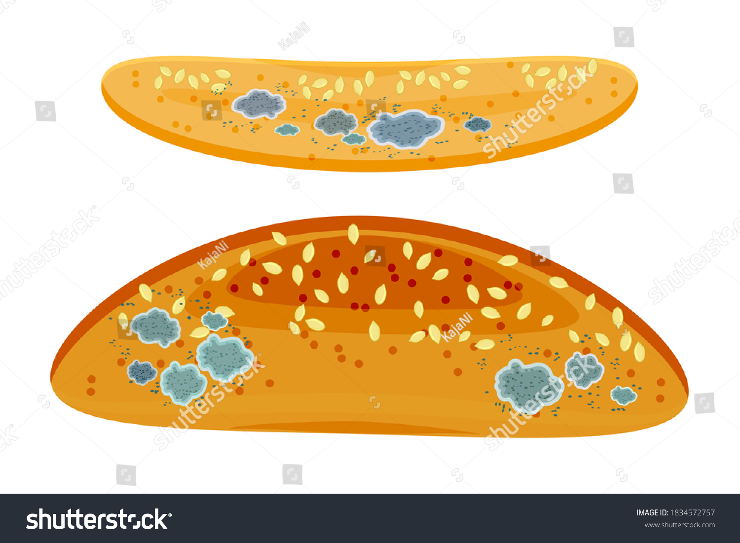 Set Mold On Bread Baguette Isolated Stock Vector (Royalty Free