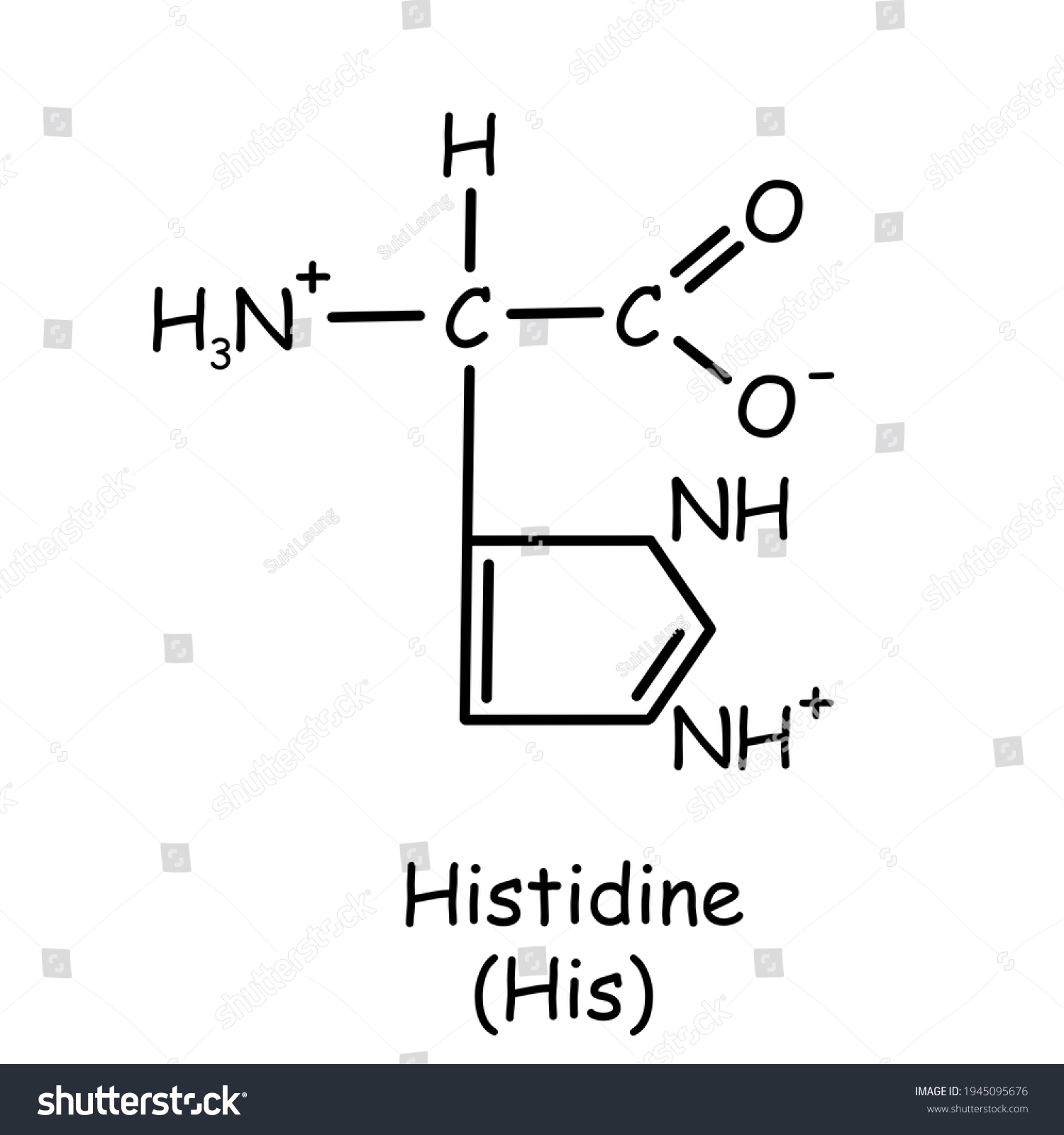 Amino Acid Chemical Structure Histidine His Stock Illustration ...