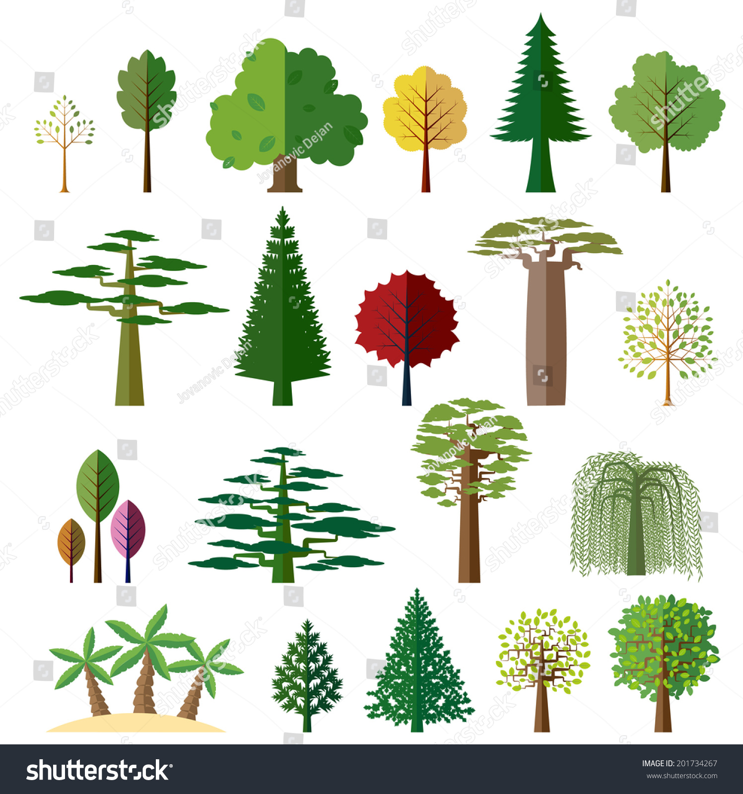 Stock vektor „Various Types Deciduous Evergreen Trees Set“ (bez