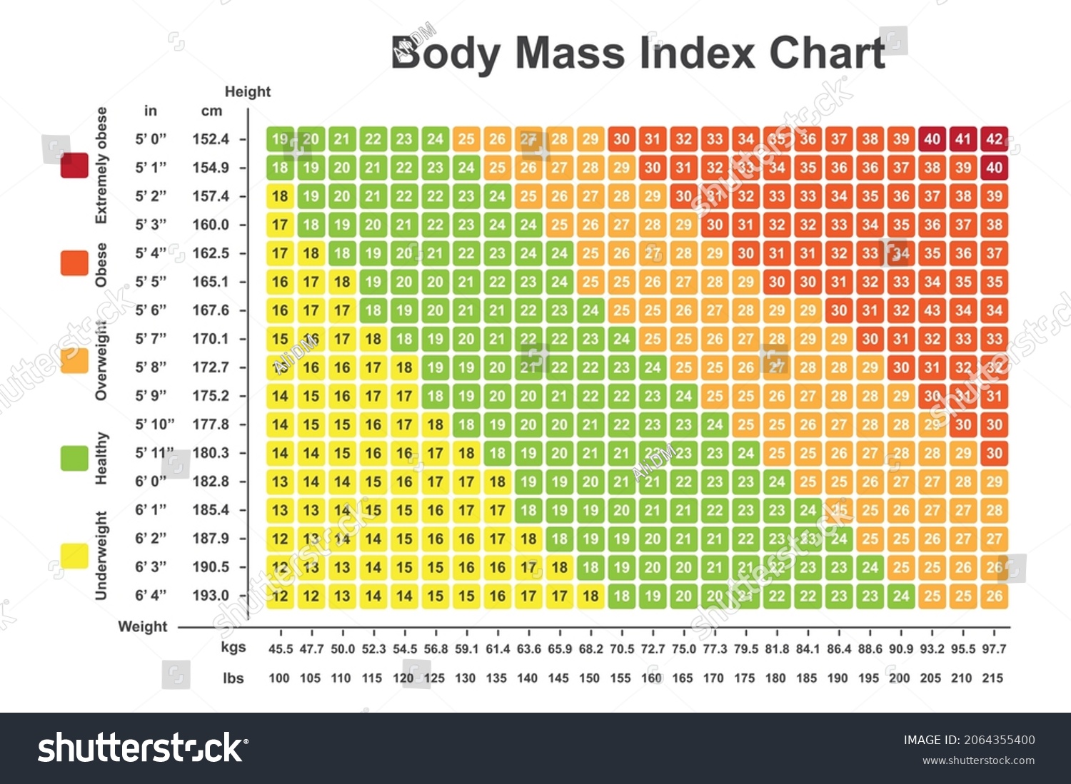 BMI chart, scale, vector illustration. Body mass index meter