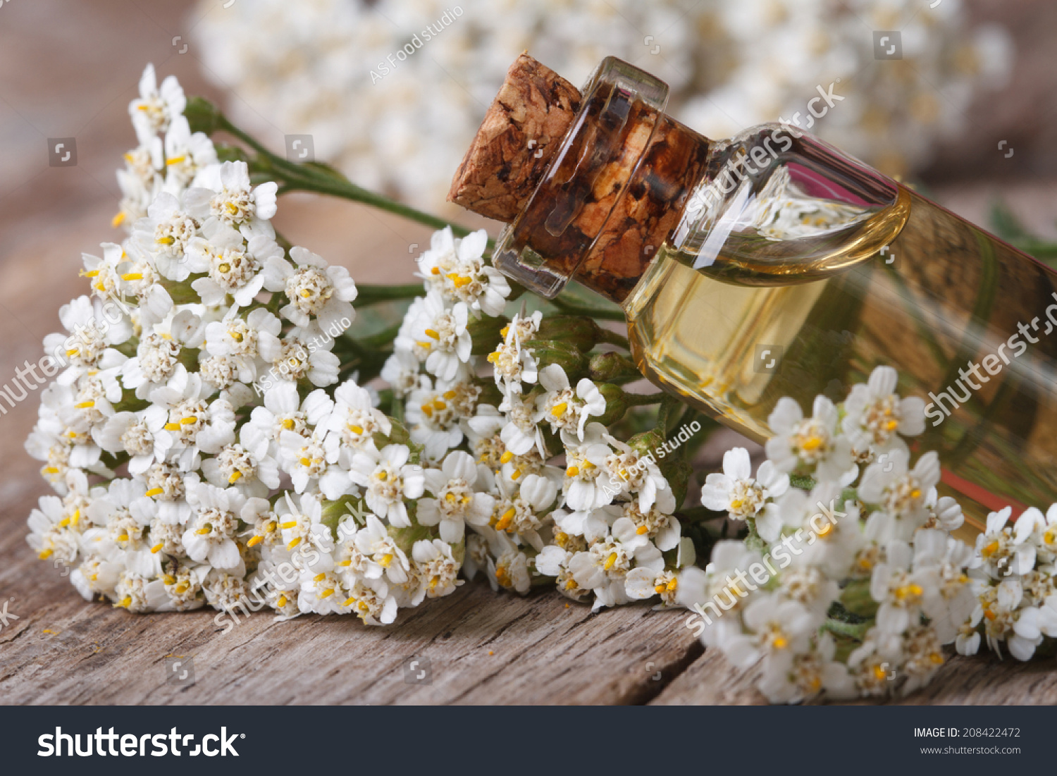 настой из тысячелистника. тысячелистник обыкновенный эфирное масло. тысячелистник обыкновенный экстракт. эфирное масло тысячелистника. ярроу пом дотерра.
