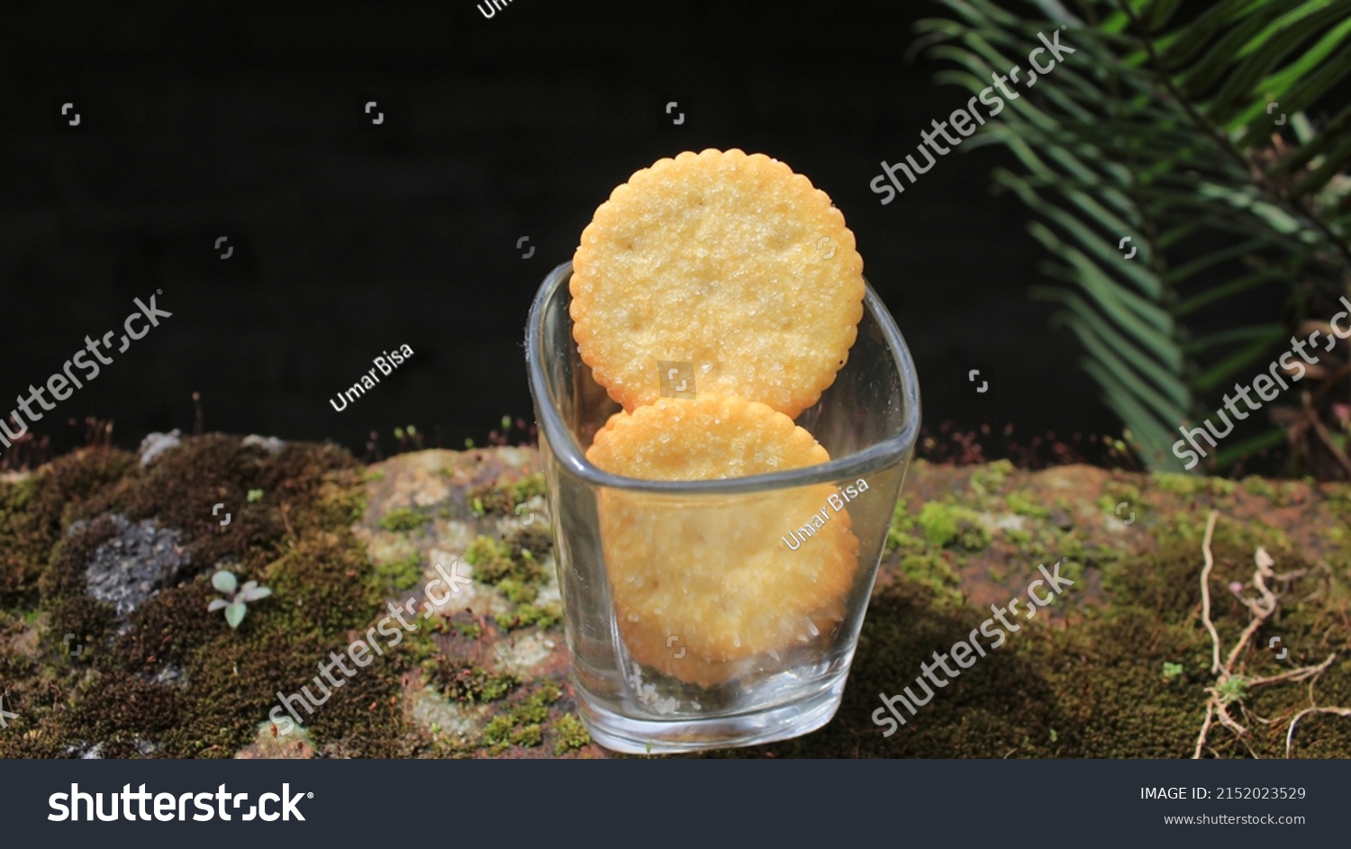 Biscuits Pile Delicious Whole Wheat Biscuits Stock Photo 2152023529