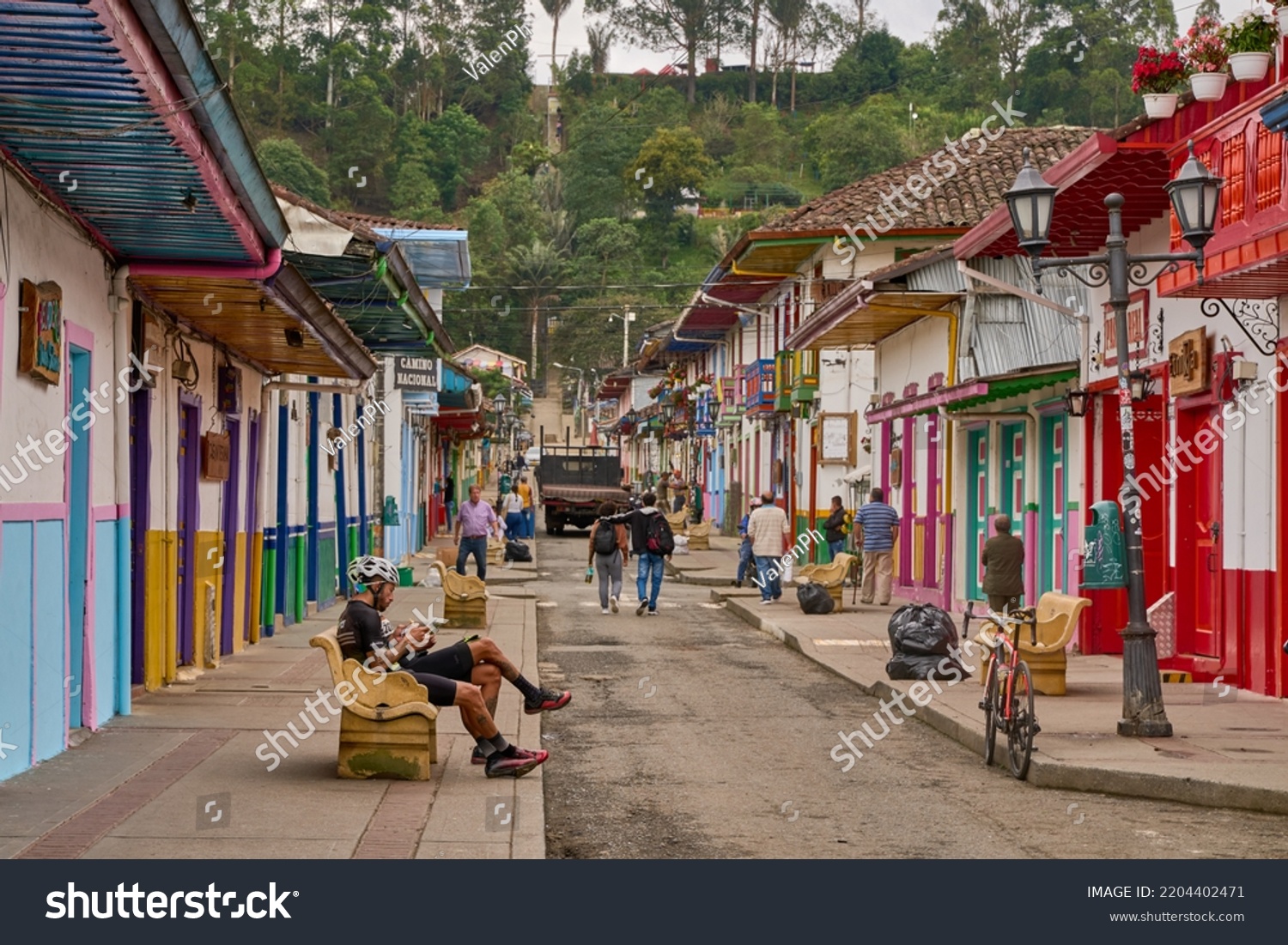 coffee plantation in the region of Armenia, department of Quindio, Cordillera Central of the Andes mountain range, Colombia, South America Stock Photo - Alamy