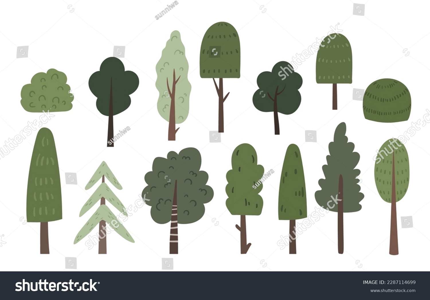 Different Types Of Trees