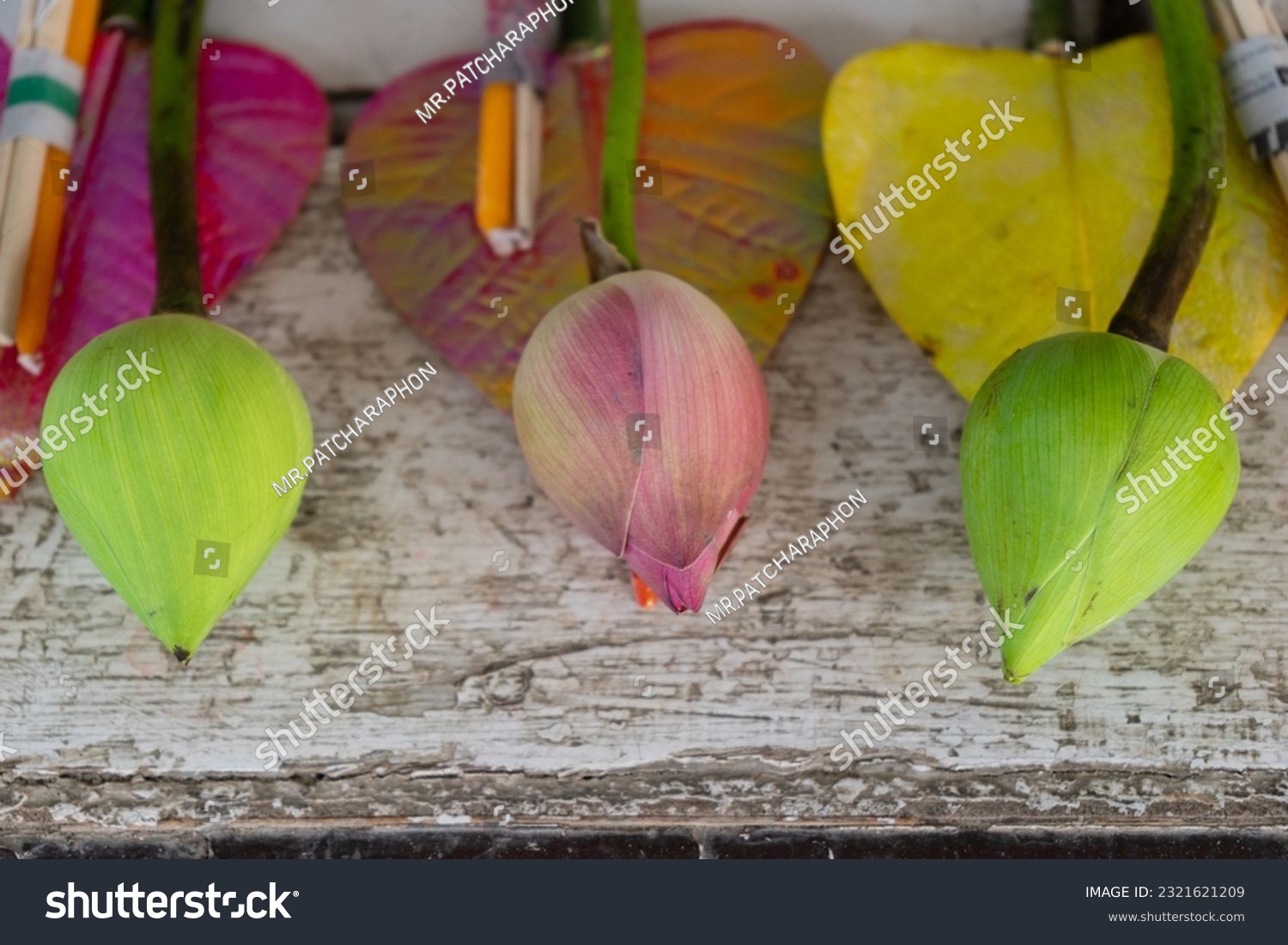 925 buddhist principles royalty free images stock photos pictures