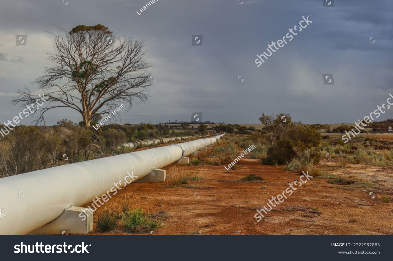 Water Cy Over 108 RoyaltyFree Licensable Stock Photos Shutterstock