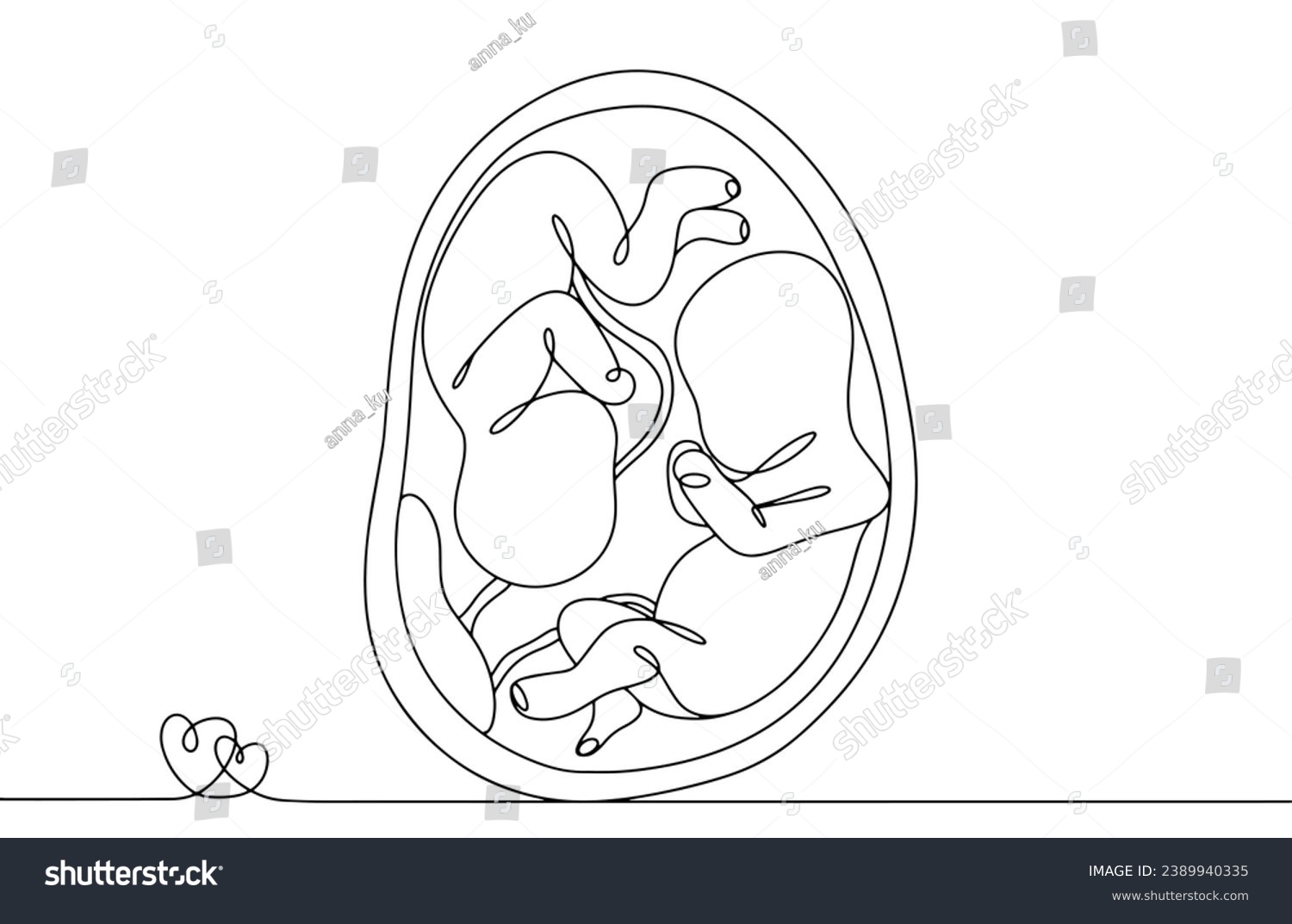Monozygotic Twins Womb Children One Placenta Stock Vector (Royalty Free