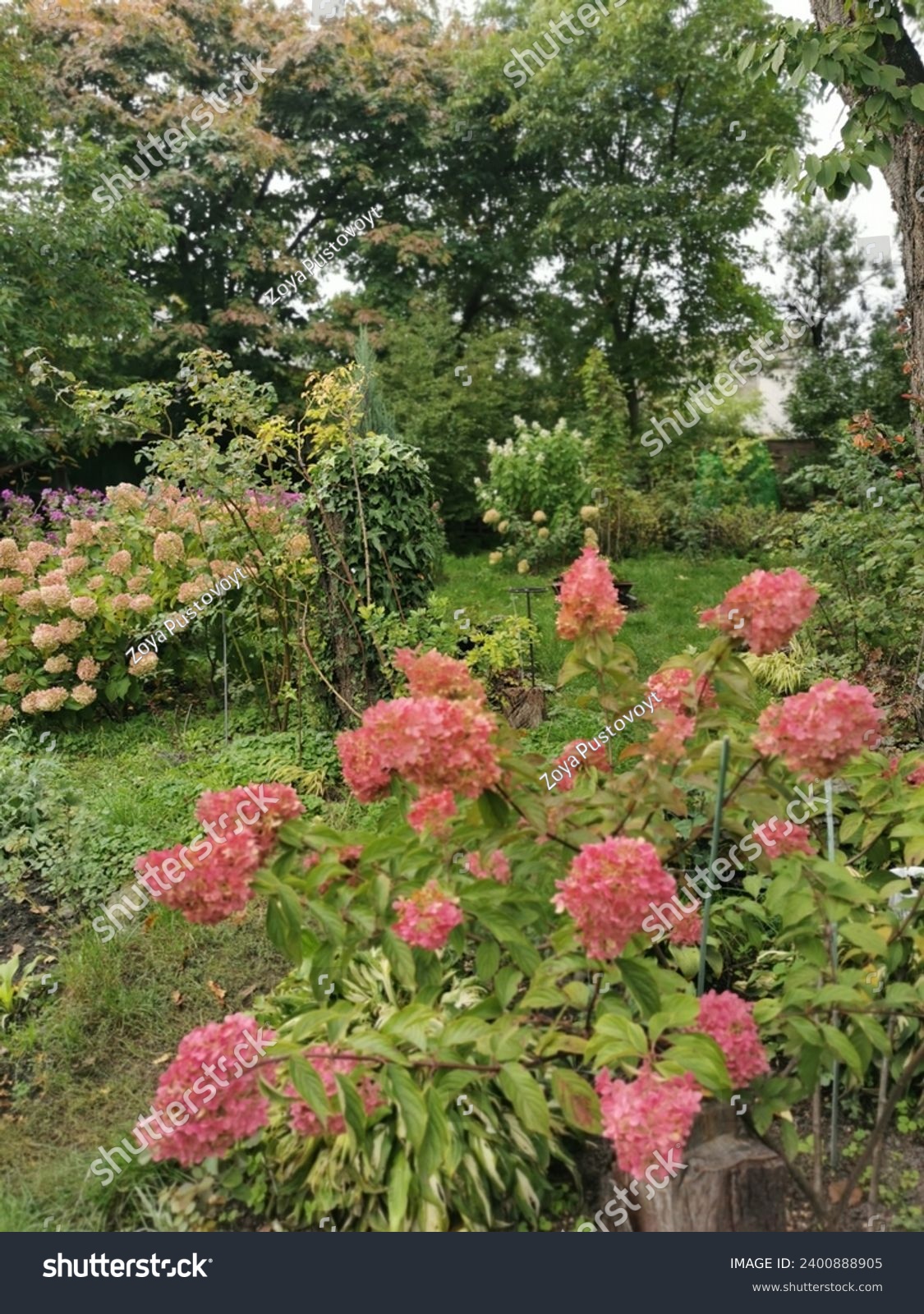 Бір қыз жігіттің аузына сисады.