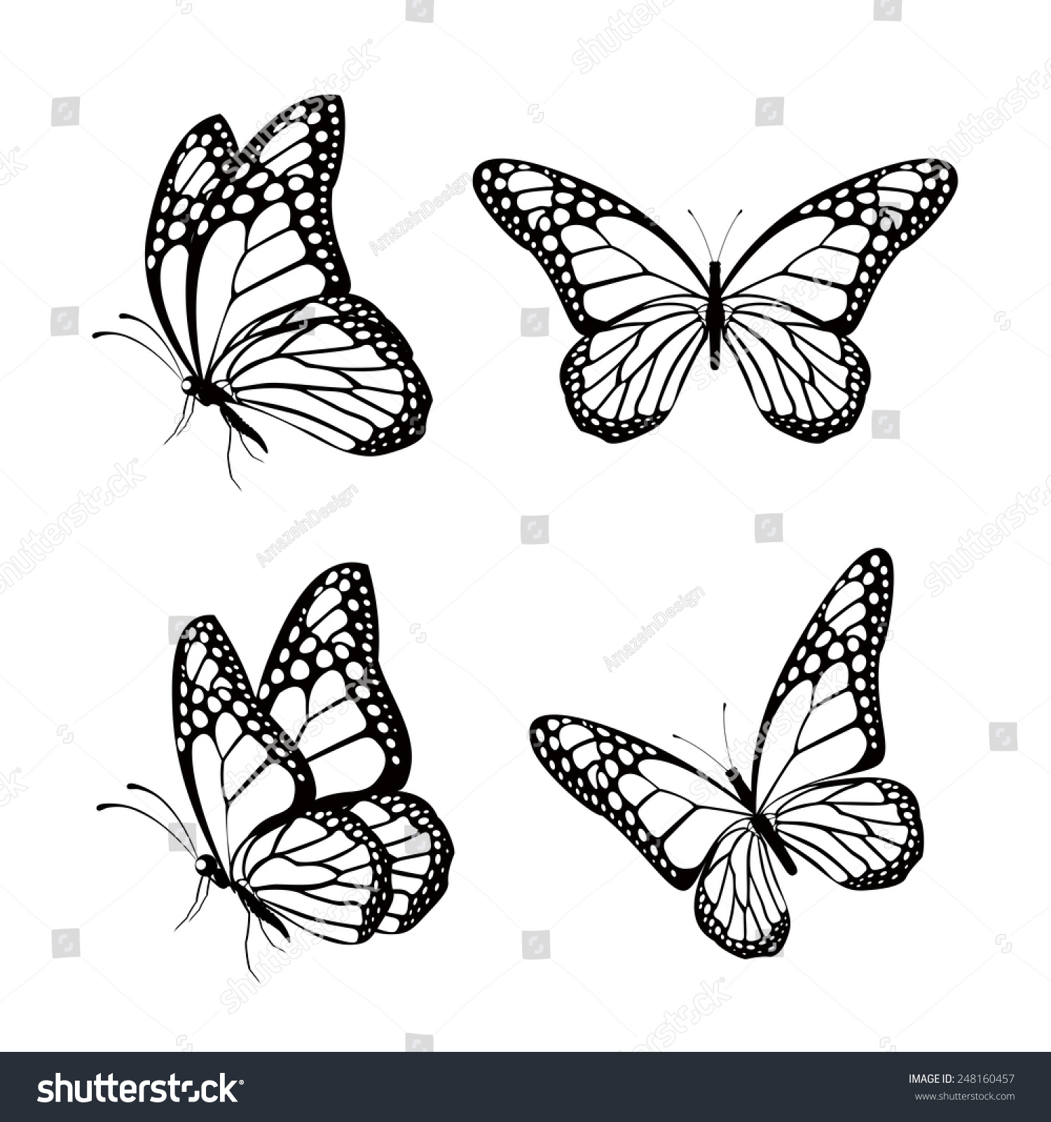 butterflies-black-and-white-over-106-418-royalty-free-licensable-stock