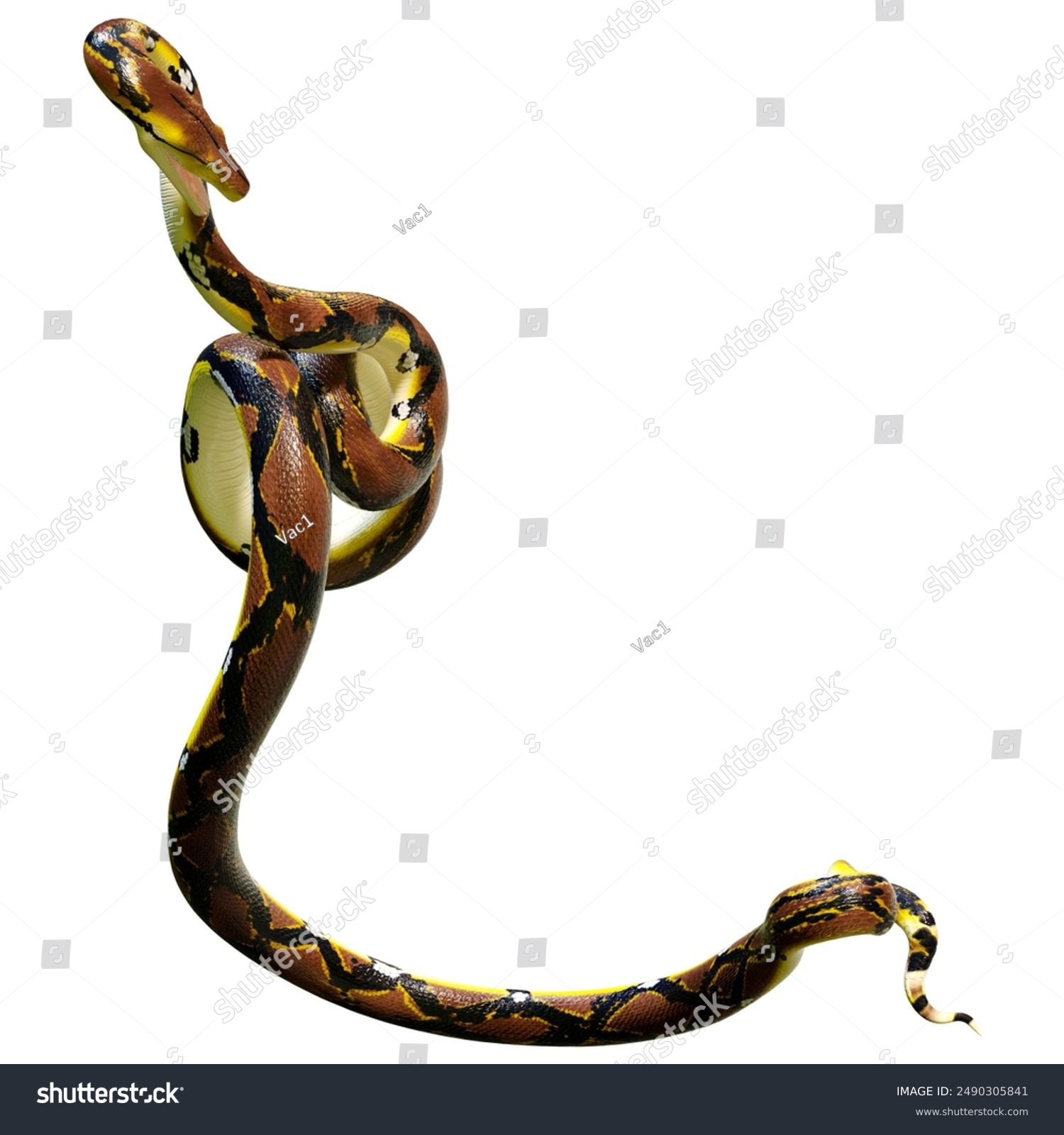 3d Rendering Reticulated Python Python Reticulatus Stock Illustration ...