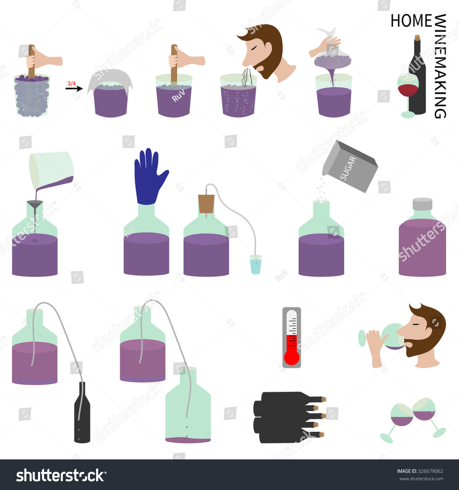 Home Wine Making Wine Grapes Step Stock Vector (Royalty Free) 326679062