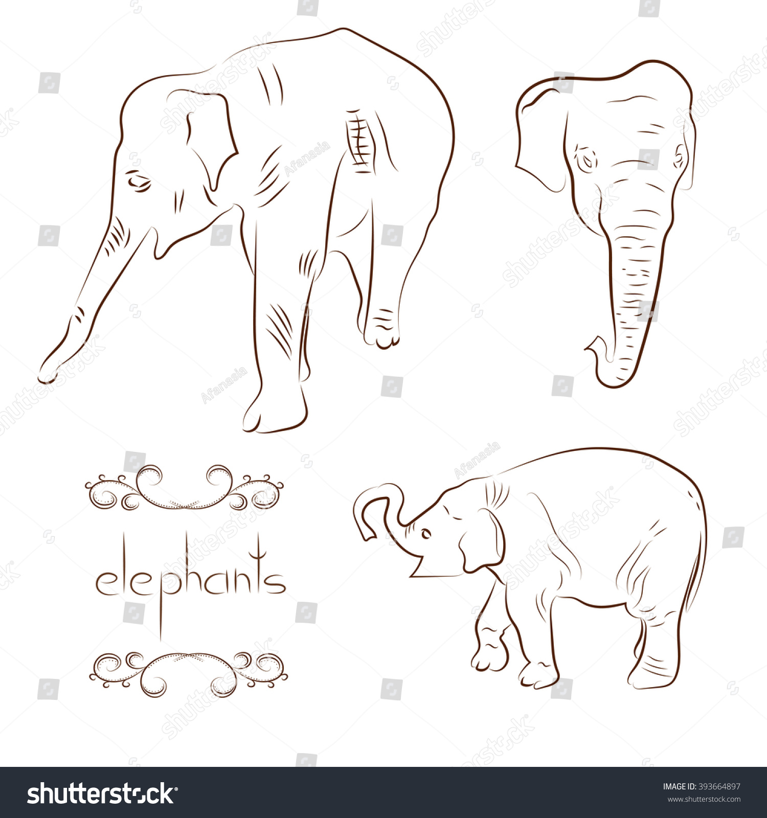 Elephants Set Sketch Vector Illustrations Stock Vector (Royalty Free