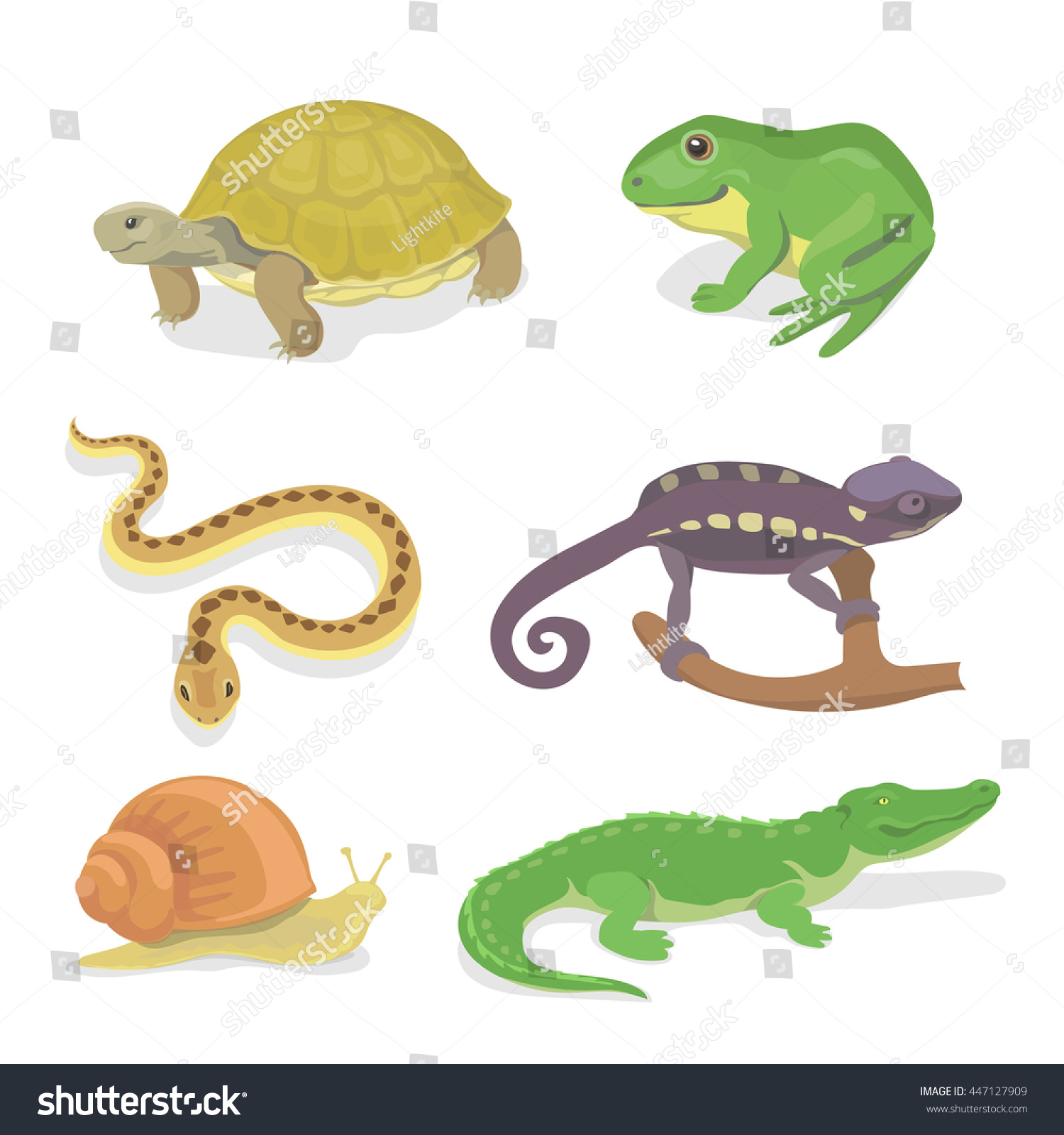 рептилии карточки для детей. рептилии задания для детей. рептилии для детей. отряд чешуйчатые отряд черепахи отряд крокодилы. что лишнее лягушка ящерица змея черепаха крокодил.