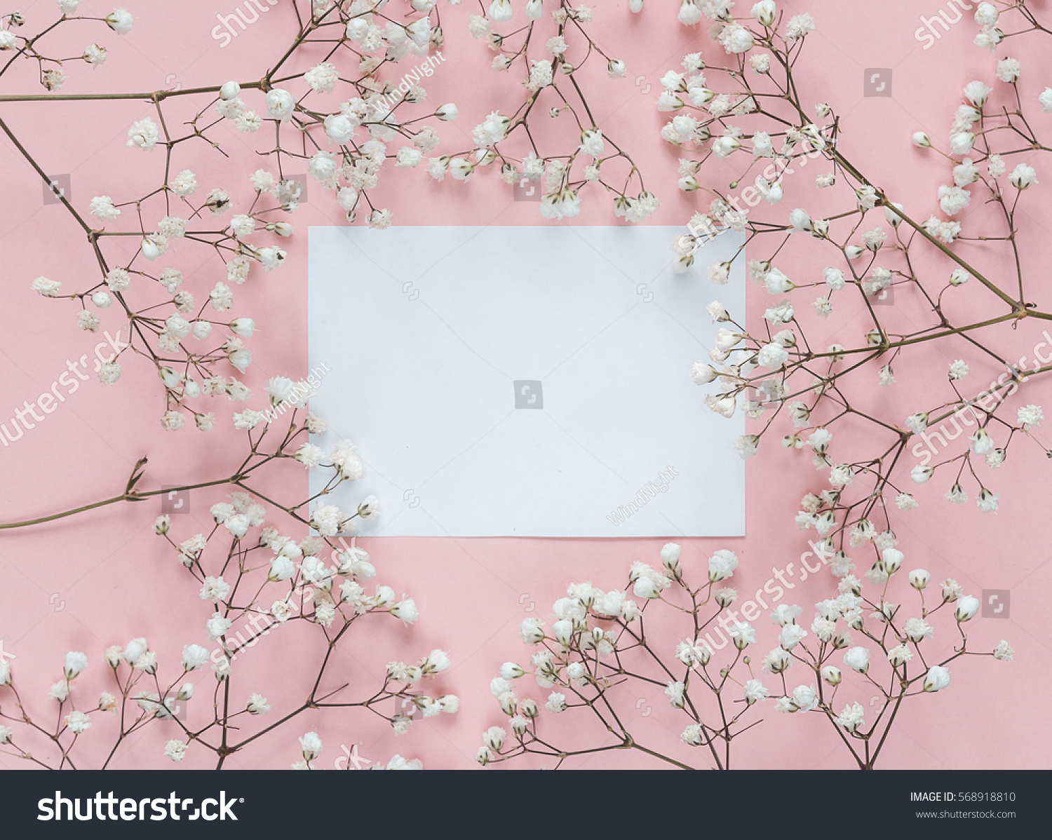 Blank Paper Card Frame Delicate Little Stock Photo 568918810 Shutterstock