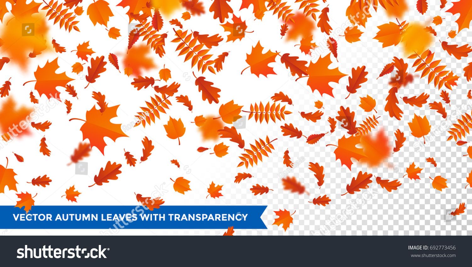 когда гарри встретил салли осень. See my fall. Failing leaves. Failing leaves. Maple leaves.