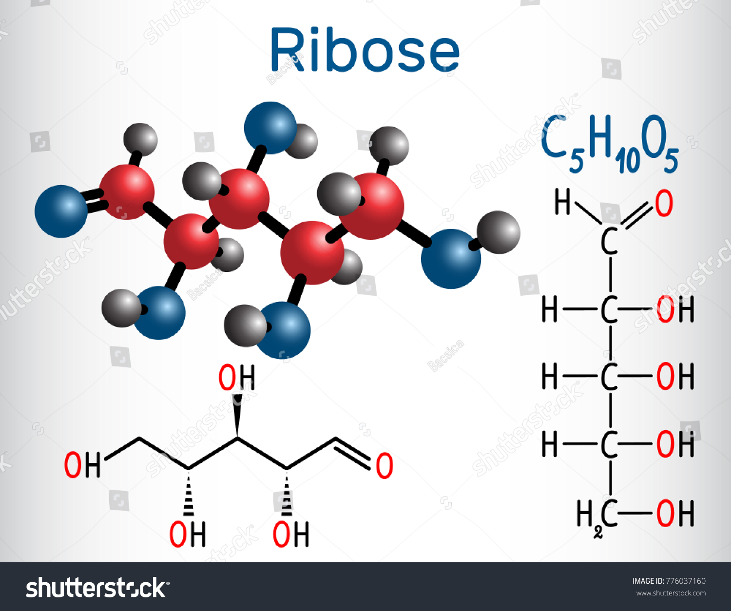 Chemical Structure Of Ribose