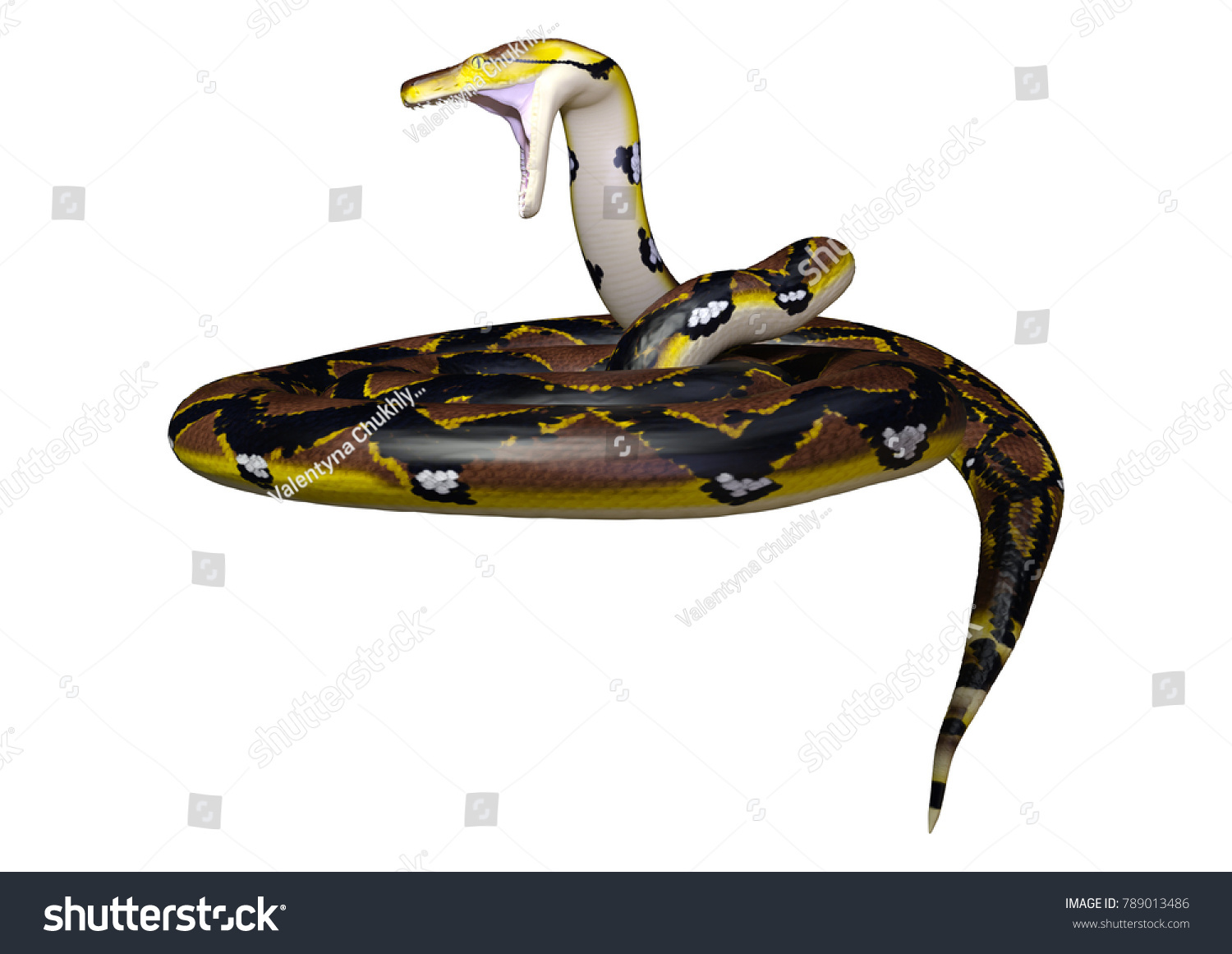 3d Rendering Reticulated Python Python Reticulatus: ภาพประกอบสต็อก ...