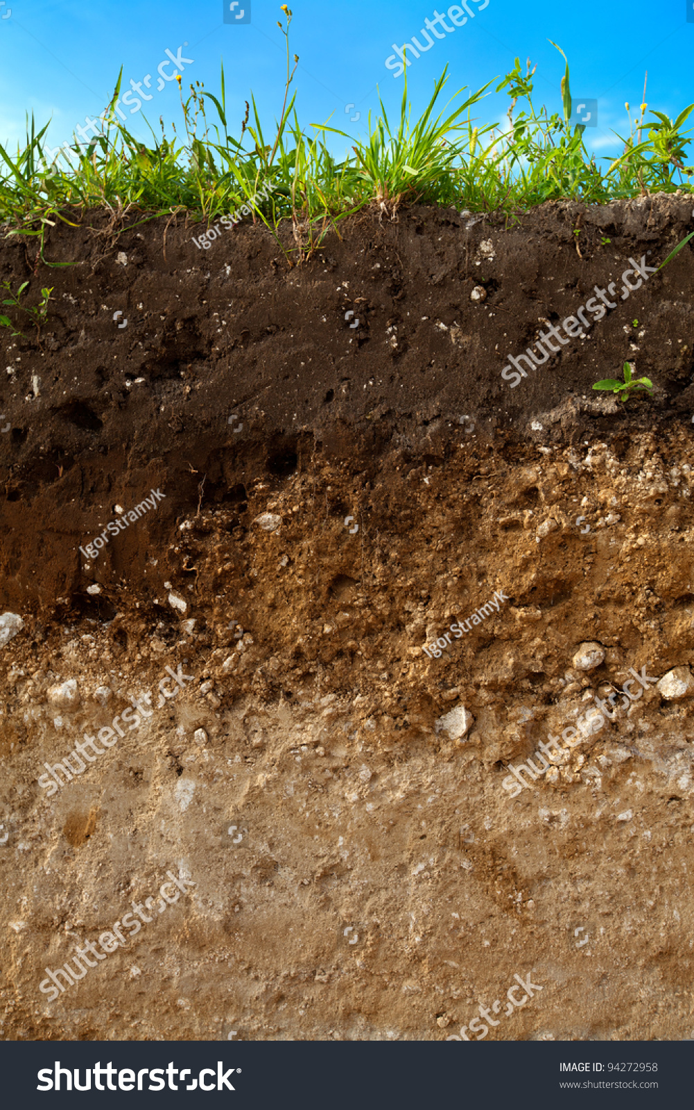 Срез земли. Сельскохозяйственный ландшафт. Сохранение плодородного слоя земли. Сохранение плодородного слоя земли. Качество почвы.