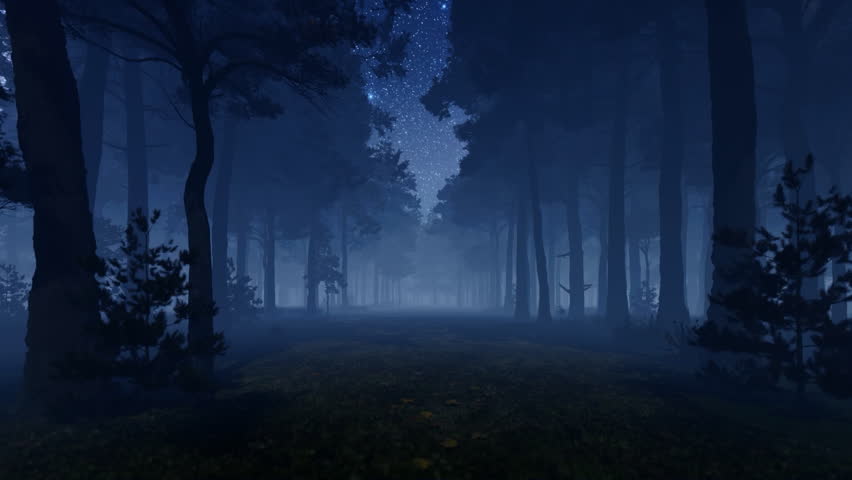 キャンバスドローイング『The forest at night』 Forest Pathway Night Videos: 4K and HD Video Clips for Download
